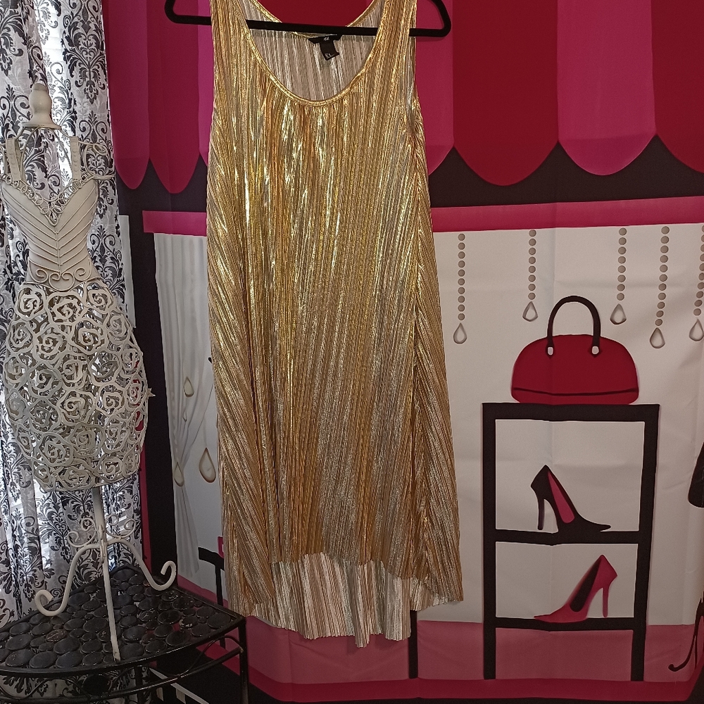 H&M Liquid Gold Swing Dress